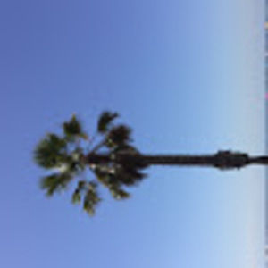 Meet your Posher, Isabel